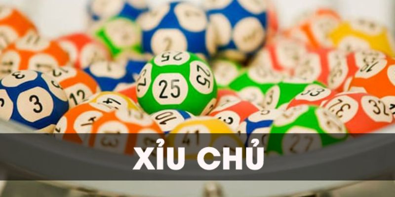 Xỉu Chủ Là Gì